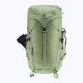 Zaino da trekking Deuter Trail 30 l grove-ivy 6