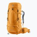 Zaino da trekking Deuter Aircontact Lite 40 + 10 l ambra-acero 11