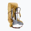 Zaino da trekking Deuter Aircontact Ultra 50 + 5 l savana-raisin 5