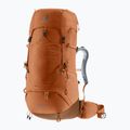 Zaino da trekking da donna deuter Aircontact Lite 45 + 10 l SL pecan/mocha 2