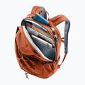 Zaino Deuter Gogo copper/oak 8