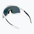 Occhiali da sole DYNAFIT Trail Evo bianco/nero 2