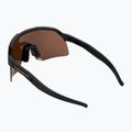 Occhiali da sole DYNAFIT Ultra Evo nero/oro 2