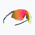 Occhiali da sole DYNAFIT Alpine Evo, salvia/timo