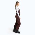 Pantaloni da sci da donna Maloja MaleachiM W'S Squirrel 3