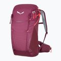 Zaino da trekking da donna Salewa Alp Trainer 20 l viola scuro