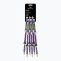 Wild Country Session Quickdraw 6x12 cm viola/verde set per arrampicata express