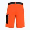 Pantaloncini da trekking da uomo Salewa Pedroc Cargo 2 rosso/arancio 5