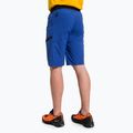 Pantaloncini da trekking Salewa Agner Light electric/0910 da uomo 3