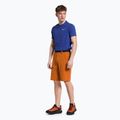 Pantaloncini da trekking Salewa da uomo Puez 3 autunnale 2
