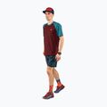 Camicia da corsa DYNAFIT Alpine Pro syrah da uomo