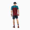 Camicia da corsa DYNAFIT Alpine Pro syrah da uomo 2