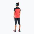 Maglietta da corsa DYNAFIT Alpine Pro donna in corallo caldo 2