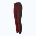 Pantaloni da trekking da donna Salewa Lavaredo Hemp Train syrah/0910 3
