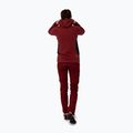 Felpa trekking donna Salewa Lavaredo Hemp Hooded syrah 2