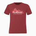 Maglietta da trekking da bambino Salewa Simple Life Dry syrah melange