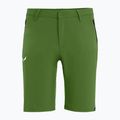 Salewa Talveno DST pantaloncini da trekking da uomo yucca 4
