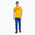 Maglietta da trekking Salewa da uomo Puez Hybrid 2 Dry oro melange 2