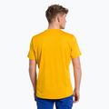 Maglietta da trekking Salewa da uomo Puez Hybrid 2 Dry oro melange 3
