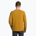 Felpa trekking uomo Salewa Lavaredo Hemp Pullover marrone oro 3