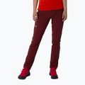 Pantaloni da trekking da donna Salewa Pedroc 4 DST Reg syrah