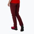 Pantaloni da trekking da donna Salewa Pedroc 4 DST Reg syrah 2