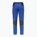 Pantaloni da trekking da uomo Salewa Pedroc 2 DST Light electric 6