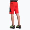 Pantaloncini da trekking Salewa Pedroc 3 DST Cargo da uomo flame/0910 3