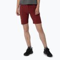 Pantaloncini da trekking da donna Salewa Pedroc DST syrah