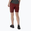 Pantaloncini da trekking da donna Salewa Pedroc DST syrah 2