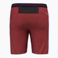 Pantaloncini da trekking da donna Salewa Pedroc DST syrah 11