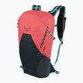 DYNAFIT Transalper 18 + 4 l zaino da escursionismo corallo caldo/mirtillo 5