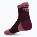 Calze da corsa DYNAFIT Transalper bordeaux 2