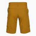 Pantaloncini da trekking da uomo Salewa Puez DST Cargo marrone dorato 2