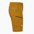 Pantaloncini da trekking da uomo Salewa Puez DST Cargo marrone dorato 3