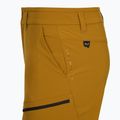 Pantaloncini da trekking da uomo Salewa Puez DST Cargo marrone dorato 4
