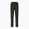 Pantaloni softshell da uomo Salewa Agner DST oliva scuro 2