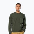Felpa da uomo Salewa Fanes Dry Pullover verde oliva scuro