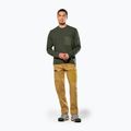 Felpa da uomo Salewa Fanes Dry Pullover verde oliva scuro 2