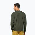 Felpa da uomo Salewa Fanes Dry Pullover verde oliva scuro 3