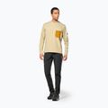 Felpa da uomo Salewa Fanes Dry Pullover quicksand 2