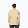 Felpa da uomo Salewa Fanes Dry Pullover quicksand 3