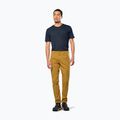 Pantaloni da trekking da uomo Salewa Fanes Marrone chiaro dorato 2