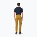 Pantaloni da trekking da uomo Salewa Fanes Marrone chiaro dorato 3