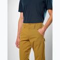 Pantaloni da trekking da uomo Salewa Fanes Marrone chiaro dorato 4