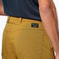 Pantaloni da trekking da uomo Salewa Fanes Marrone chiaro dorato 5