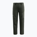 Pantaloni da trekking da uomo Salewa Puez Hemp/Dst 2/1 oliva scuro 7
