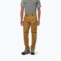 Pantaloni da trekking da uomo Salewa Puez Hemp/Dst 2/1 marrone dorato