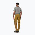 Pantaloni da trekking da uomo Salewa Puez Hemp/Dst 2/1 marrone dorato 3