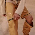 Pantaloni da trekking da uomo Salewa Puez Hemp/Dst 2/1 marrone dorato 9